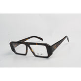 Tortoise Brown